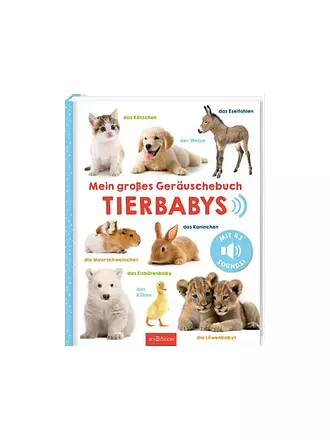 ARS EDITION VERLAG | Mein großes Geräuschebuch - Tierbabys | keine Farbe