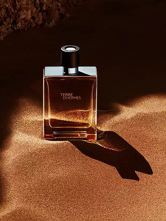 HERMÈS | Terre d'Hermès Eau de Toilette 100ml | 