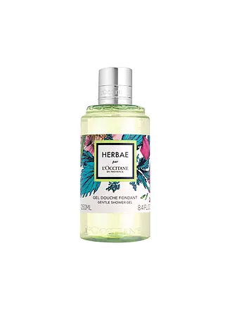 L'OCCITANE | Herbae Par L'occitane Duschgel 250ml | 