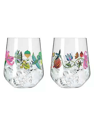 RITZENHOFF | Gin Tumbler 2-er Set BOTANIC LIGHTS #9 #10 Olaf Hajek 2024 | bunt