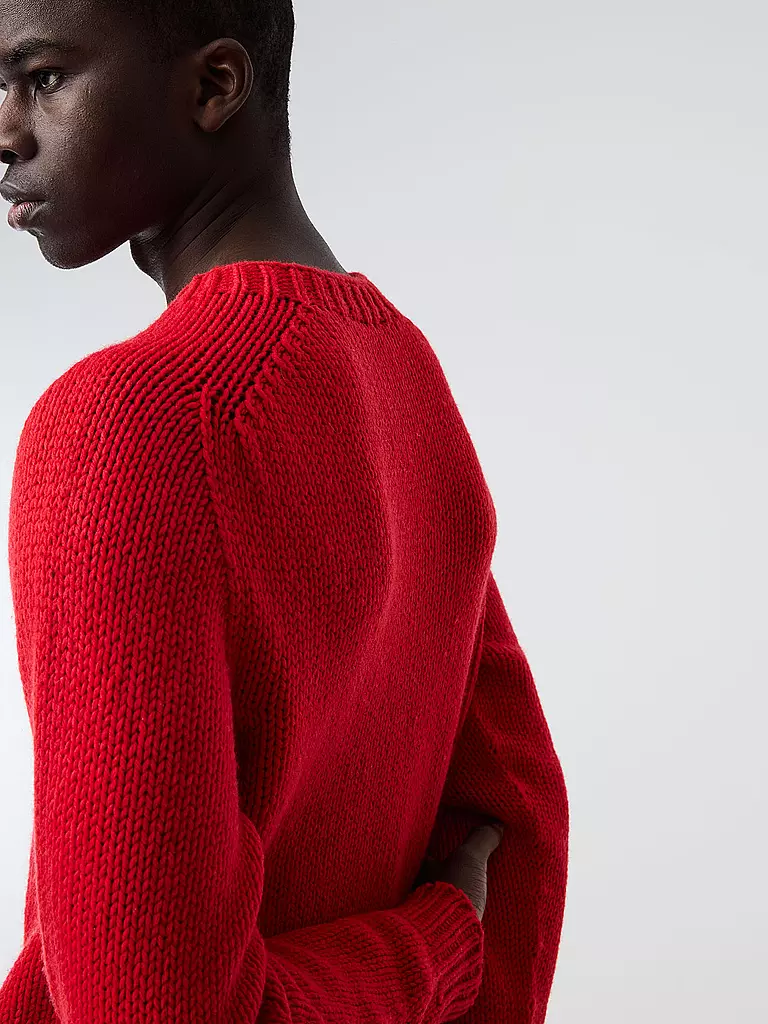 ALPHATAURI | Pullover FINAW | rot