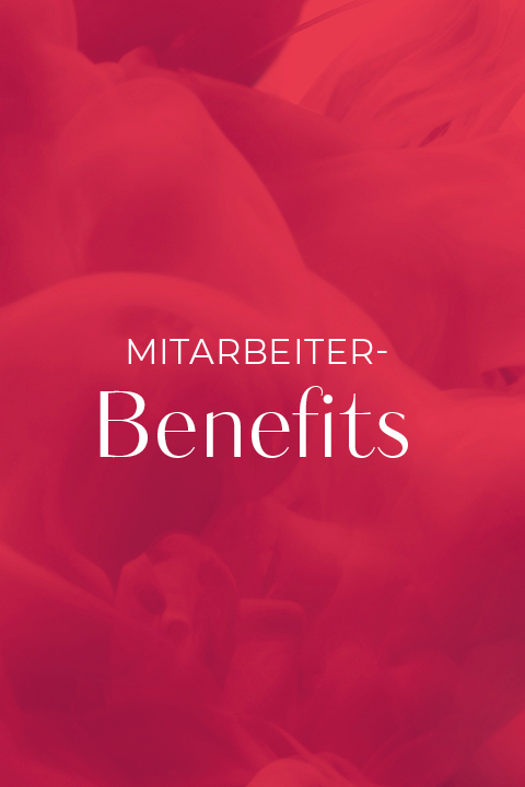 JobKarriere_MitarbeiterBenefits