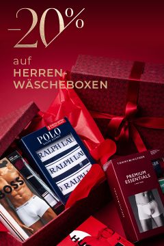 Weihnachtsspecial-HerrenWaescheboxen-LPB-480×720