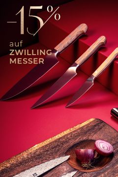 Weihnachtsspecial-Home-Zwilling-LPB-480×720