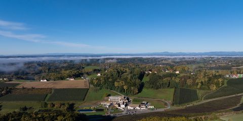 Luftaufnahme einer ländlichen Landschaft mit verstreuten Häusern, grünen Feldern, Weinbergen und einem zentralen Gebäudekomplex. Bäume und Hügel umgeben das Gebiet und darüber ist ein klarer blauer Himmel zu sehen.