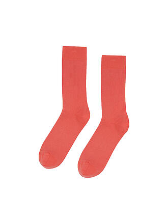 COLORFUL STANDARD | Socken bright coral