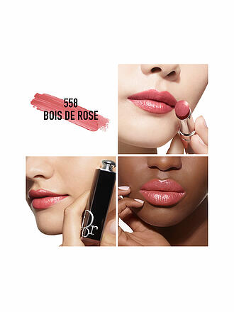 DIOR | Lippenstift - Dior Addict - Nachfüllbar ( 558 Bois de Rose ) 