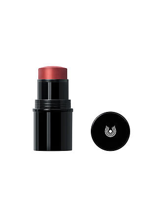 DR. HAUSCHKA | Lip to Cheek (02 Red)