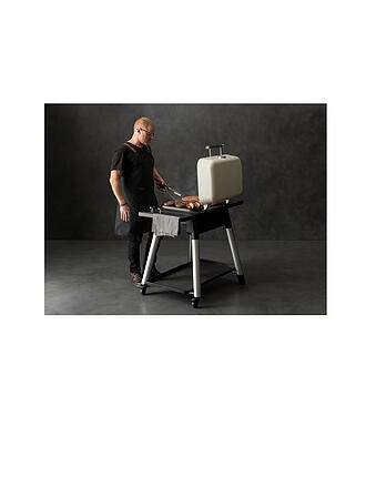 EVERDURE BY HESTON BLUMENTHAL | Gasgrill Force 2 Brenner 