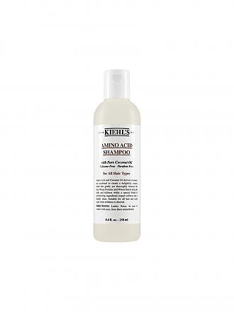 KIEHL'S |  Amino Acid Shampoo 500ml