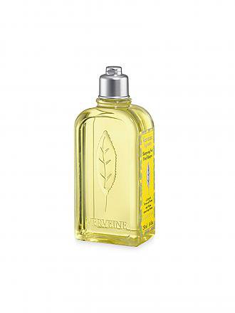 L'OCCITANE | Citrus Verveine Shampoo 250ml