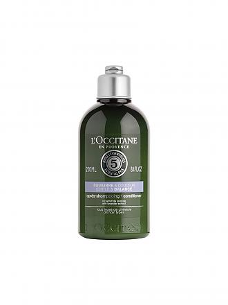 L'OCCITANE | Milder Conditioner - Beruhigend 250ml