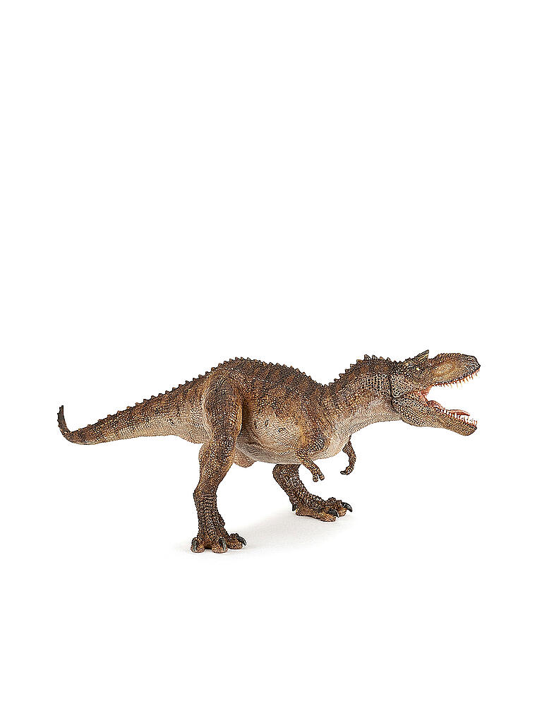 Gorgosaurus Größe