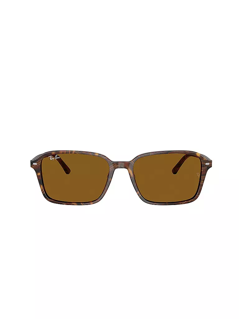 RAY BAN | Sonnenbrille 0RB2231/58 | braun