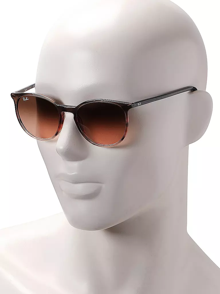 RAY BAN | Sonnenbrille 2204/54 | braun