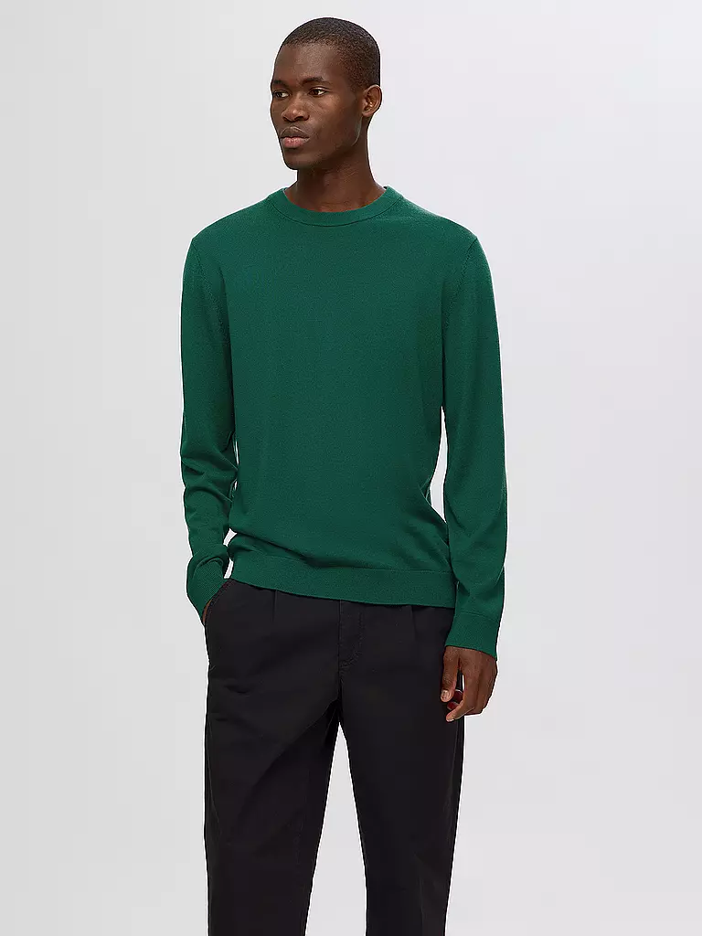 SELECTED | Pullover SLHTRAY | grün