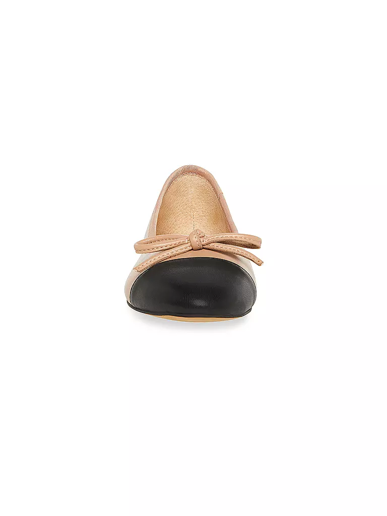 STEVE MADDEN | Ballerina ELLISON | beige