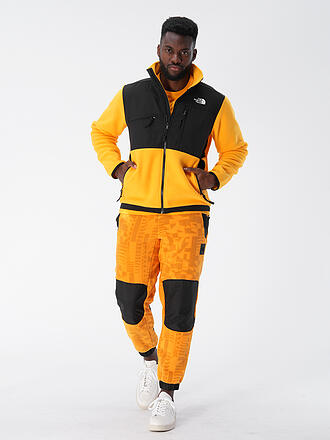 THE NORTH FACE | Fleecejacke DENALI